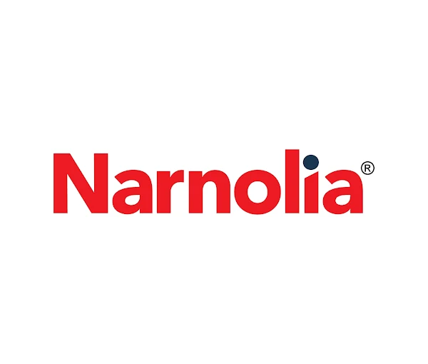 NARNOLIA LARGE CAP STRATEGY